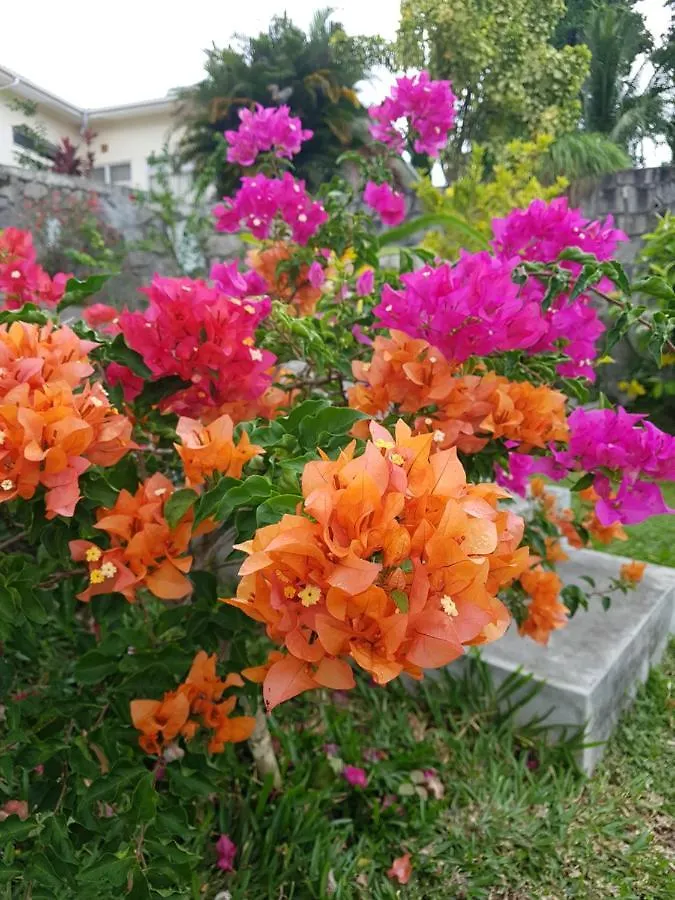 Rose Self Catering Διαμέρισμα Beau Vallon