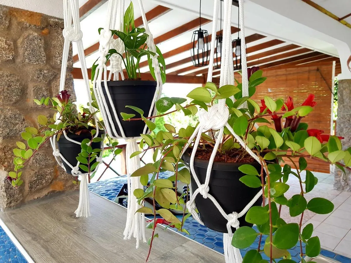Rose Self Catering Διαμέρισμα Beau Vallon  0*, Beau Vallon (Mahe) Σεϋχέλλες